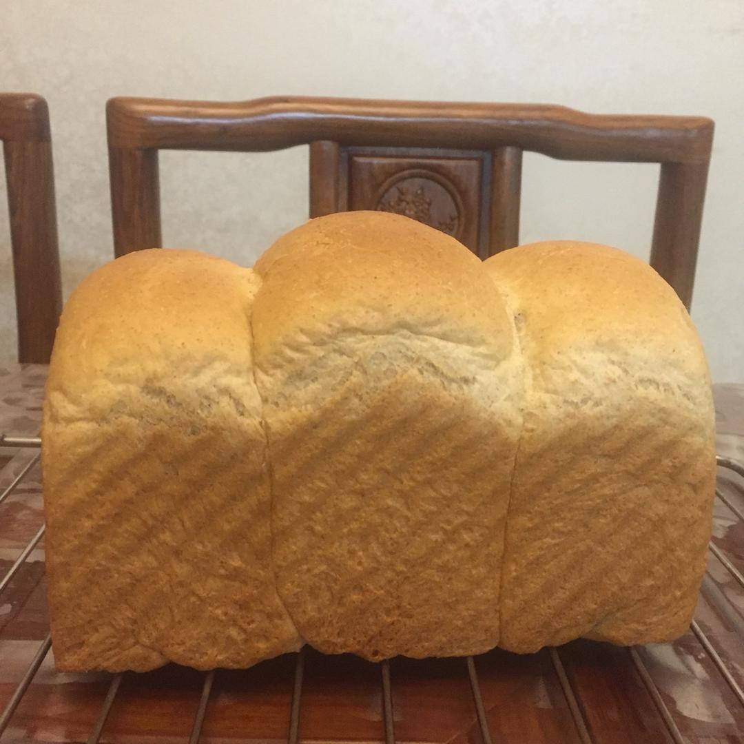 夺命软吐司(๑´ڡ`๑)超软拉丝极速方便的一次发酵吐司