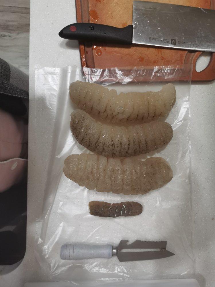 澳洲野生秃参海参发泡方法