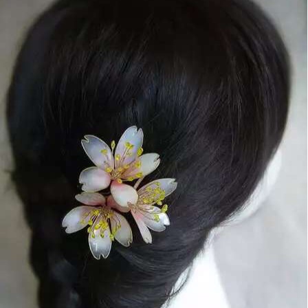 芷粉