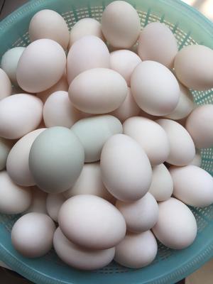 咸鸭蛋，腌制咸鸭蛋以及蛋黄酥里蛋黄的处理，蛋白的消耗的做法 步骤1
