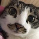 小肥的外贸衣铺