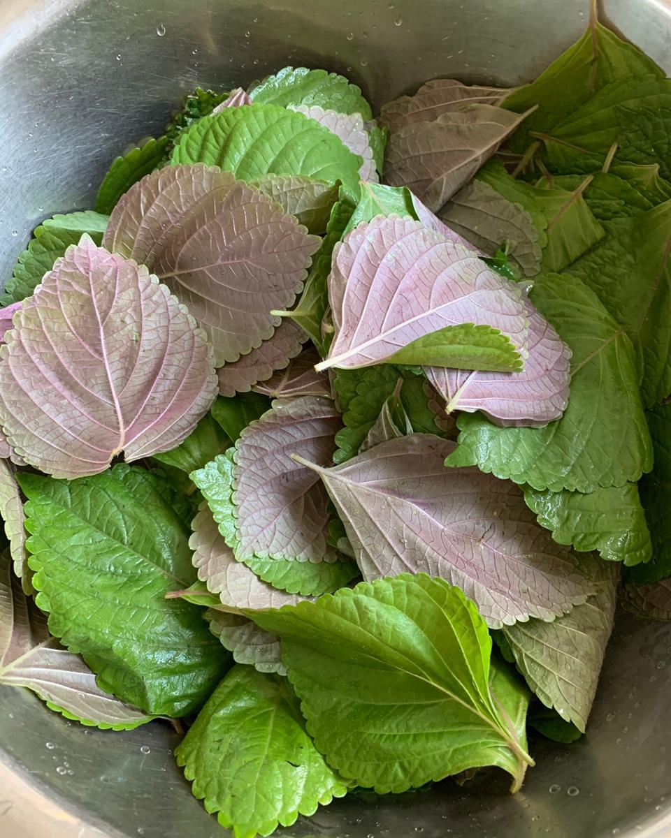 朝鲜族苏子叶咸菜