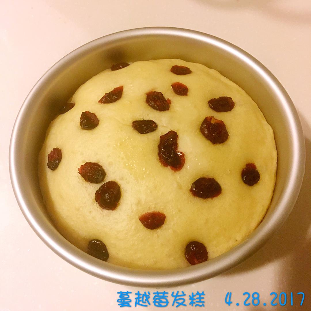 红糖发糕（成功率百分之百！）