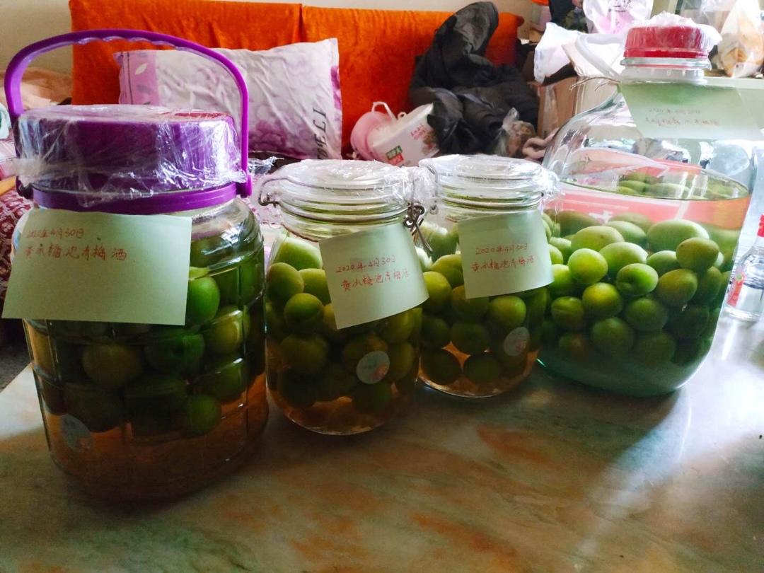 零失败【青梅酒 & 梅子露】梅子的沉淀岁月