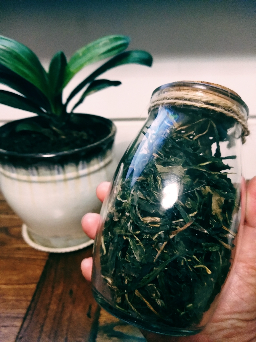 （原创）独家秘制茶―蒲公英茶的做法