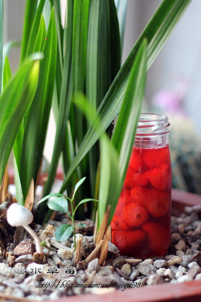 娇艳健康的罐头自己做，绝对视觉系——糖水草莓的做法