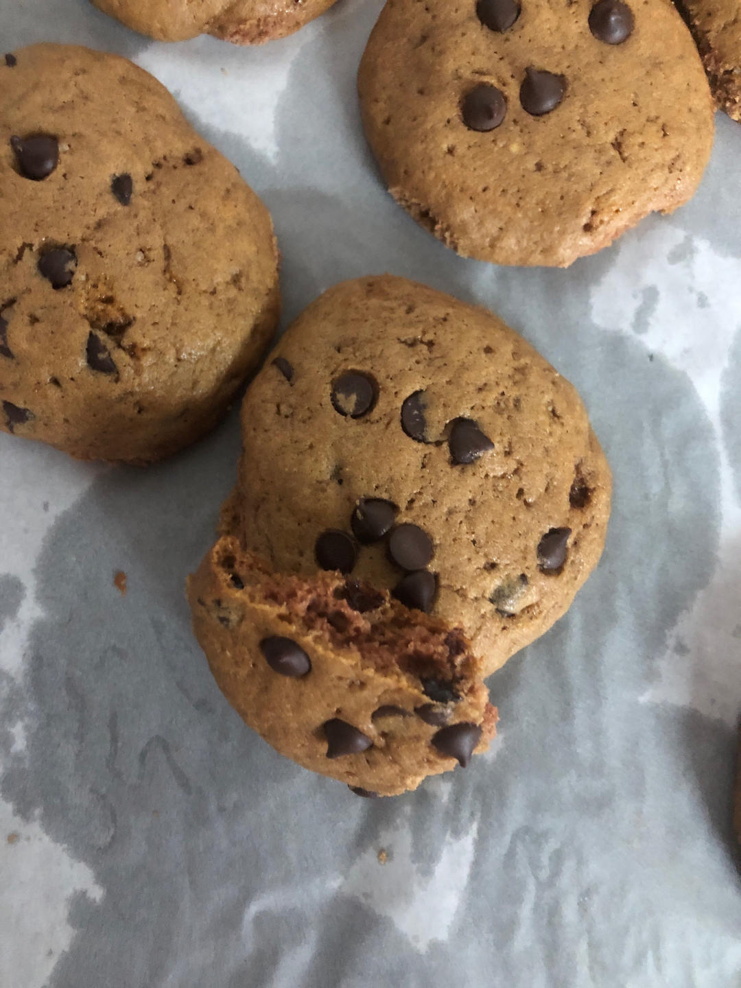 比趣多多还要好吃“巧克力豆曲奇饼干”