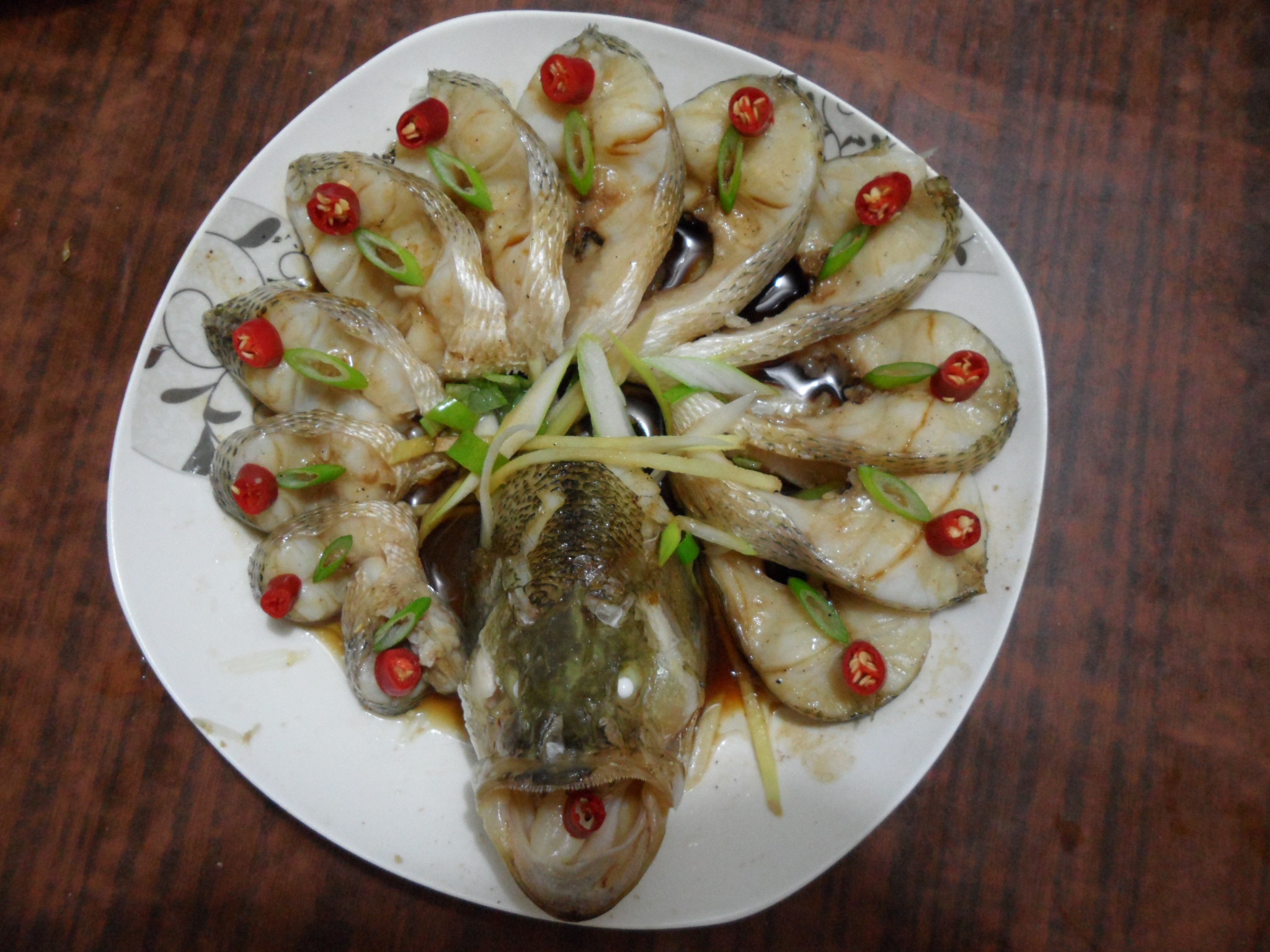 孔雀开屏鱼
