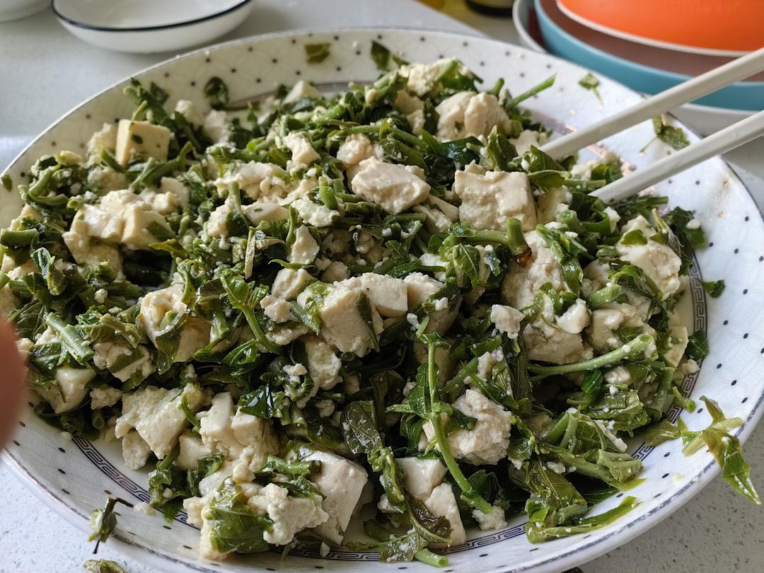 香椿拌豆腐