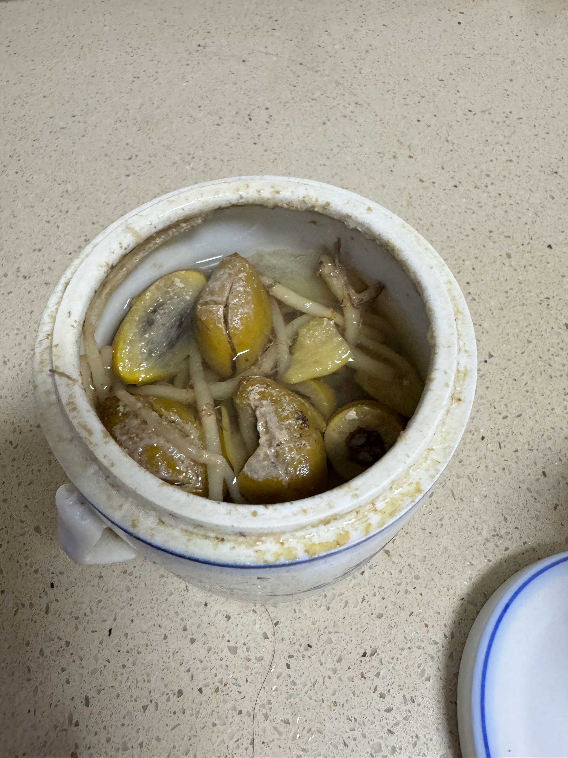 鱼腥草青榄炖肉水（止咳生津化痰消炎汤水）的做法