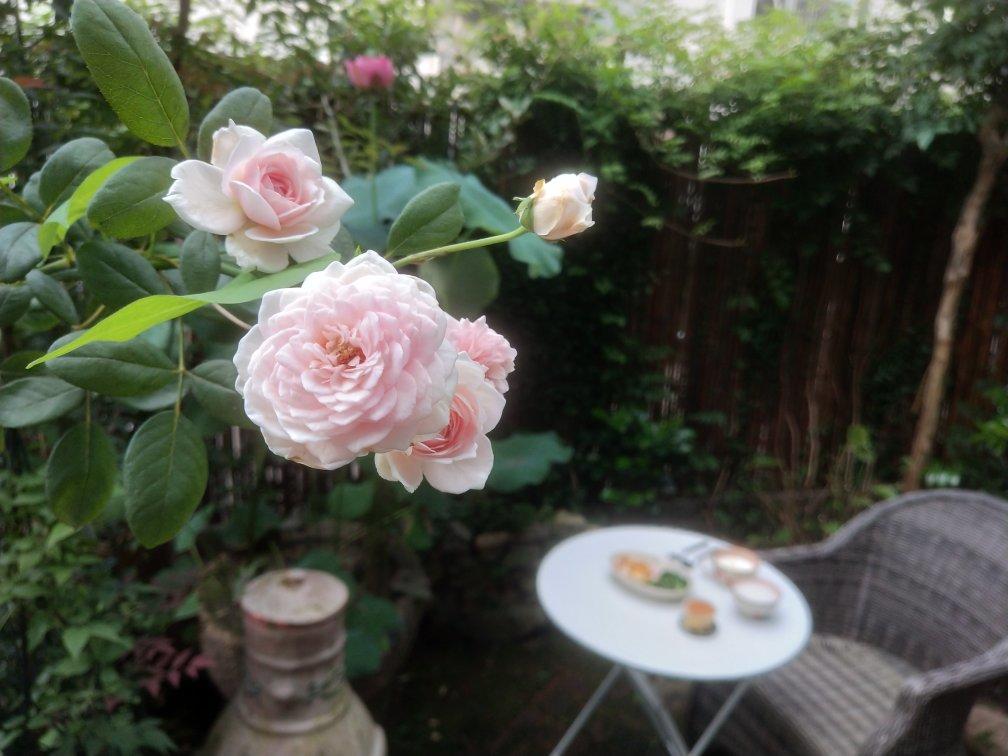 我一直梦想的田园的早餐