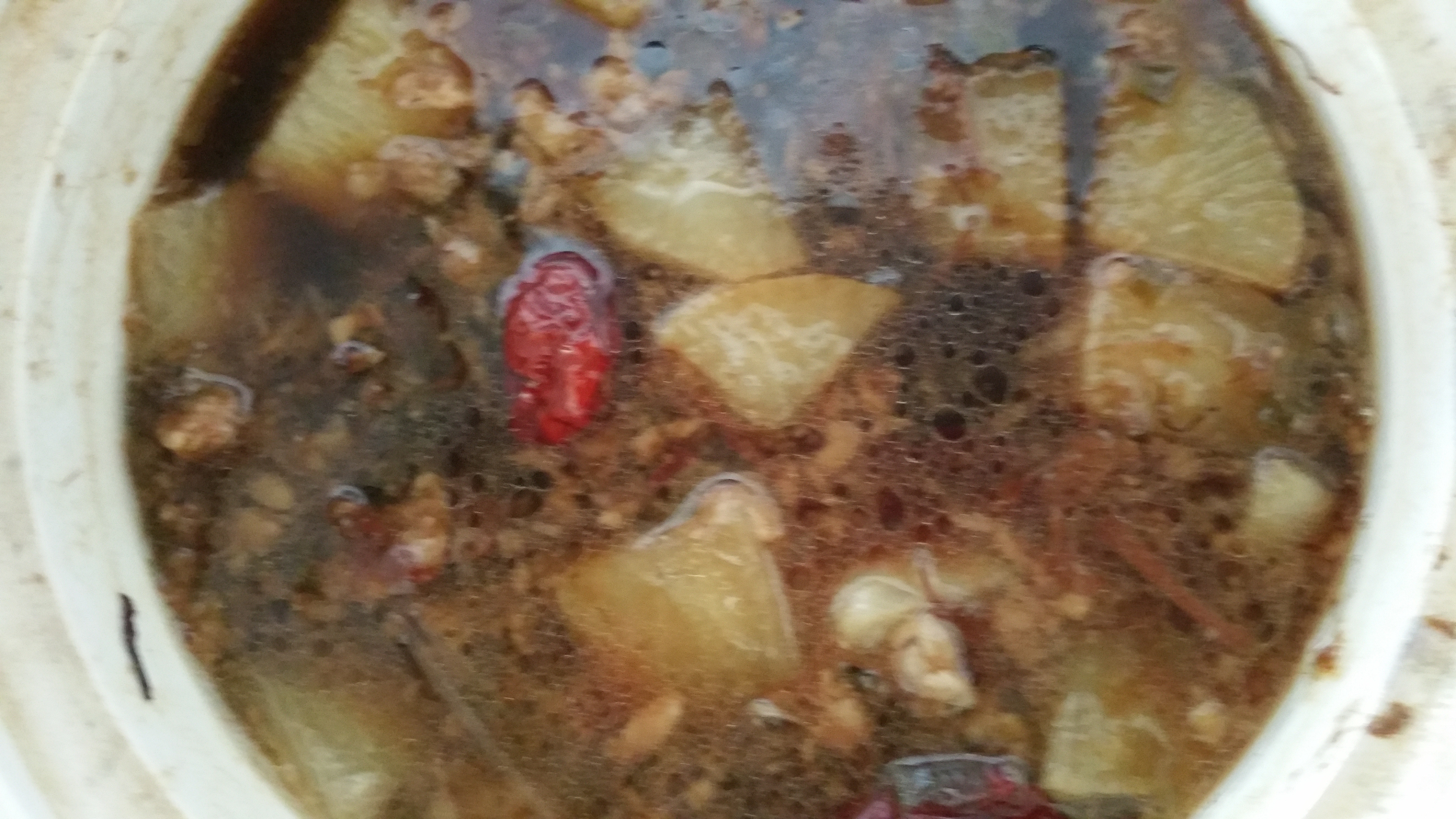 红烧羊肉炖萝卜