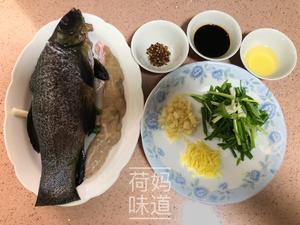 【二十分钟快手菜】清蒸丁桂鱼的做法 步骤7