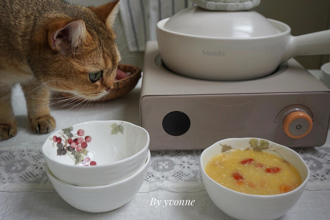 红薯棒渣粥【moido 陌冬煲仔锅】