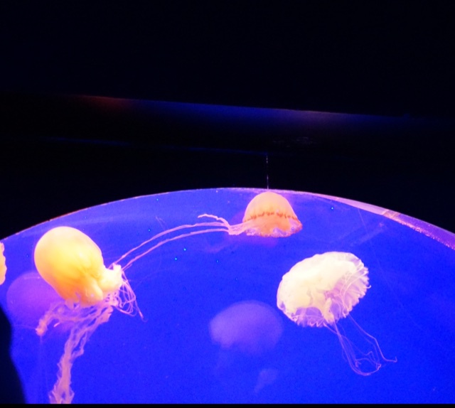 我没回复你是因为我害羞