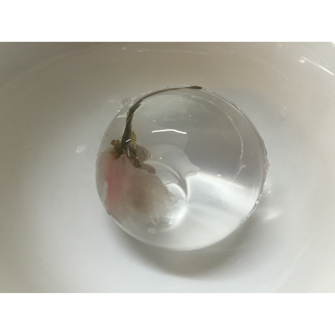 樱花水信玄饼
