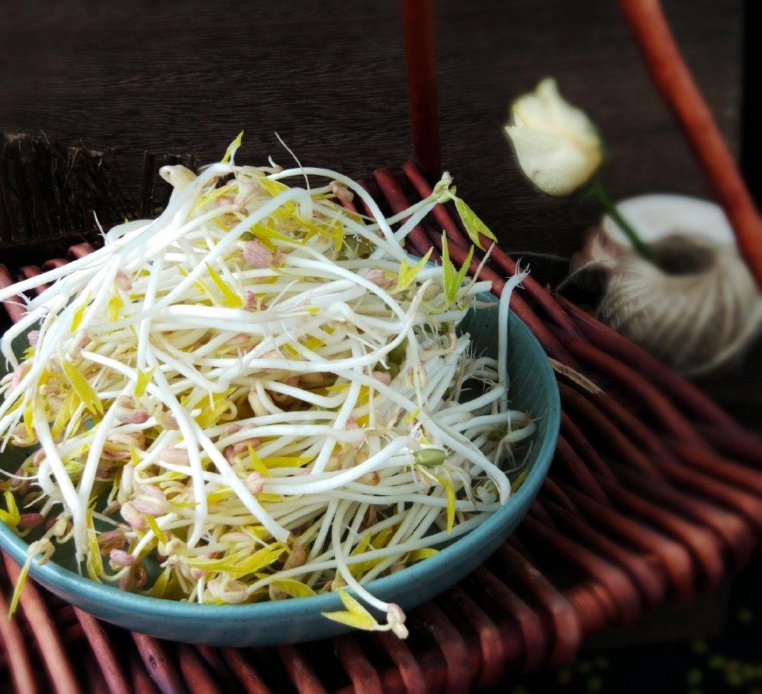 自发绿豆芽