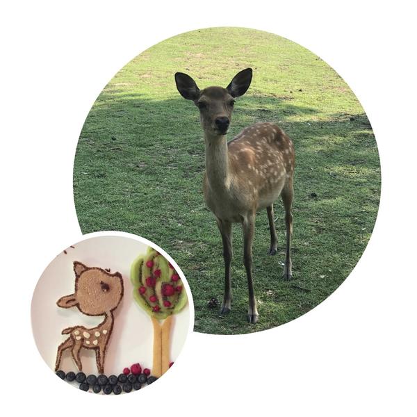 创意趣味儿童餐—小鹿斑比去觅食（吐司版）