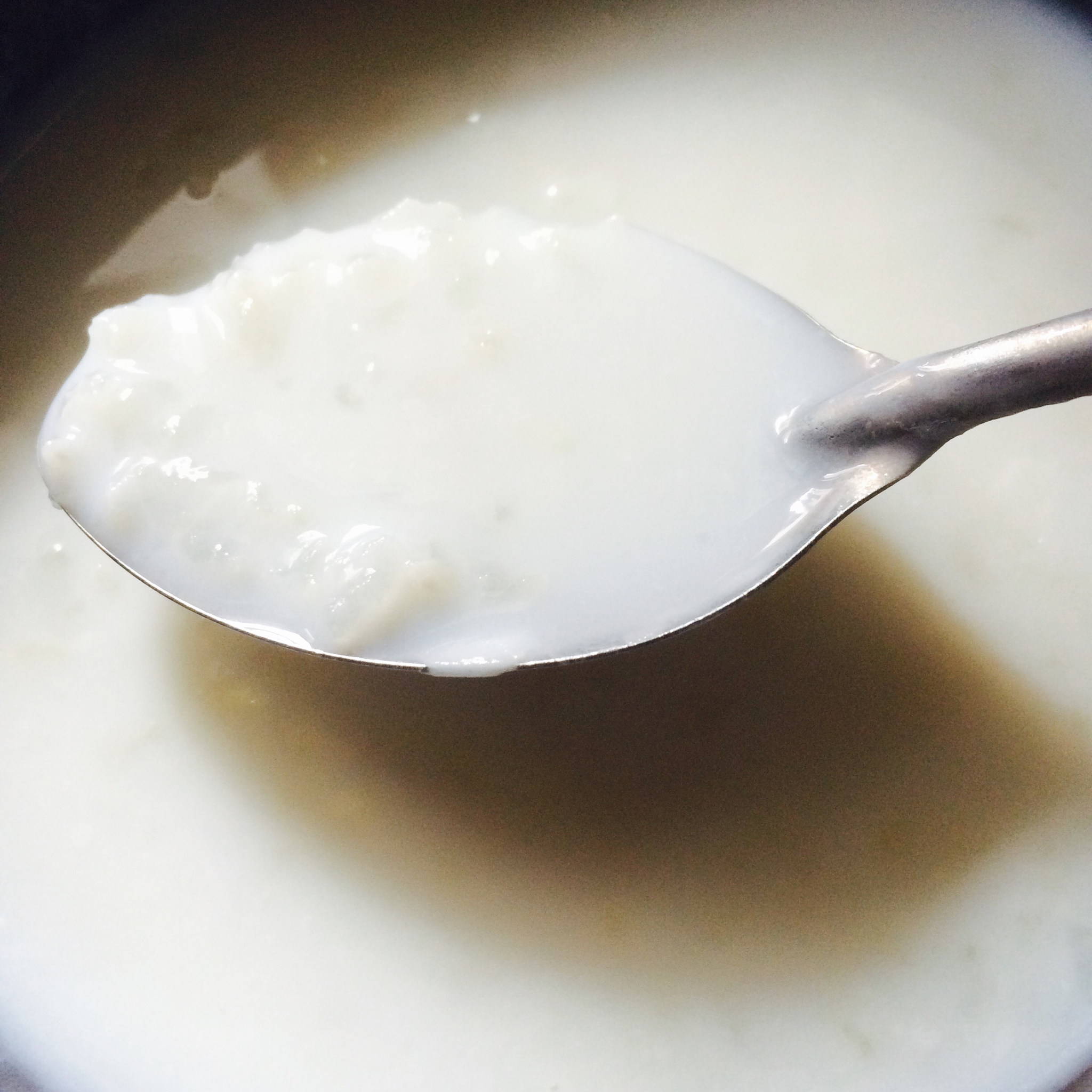 汐颜-做的牛奶稀饭