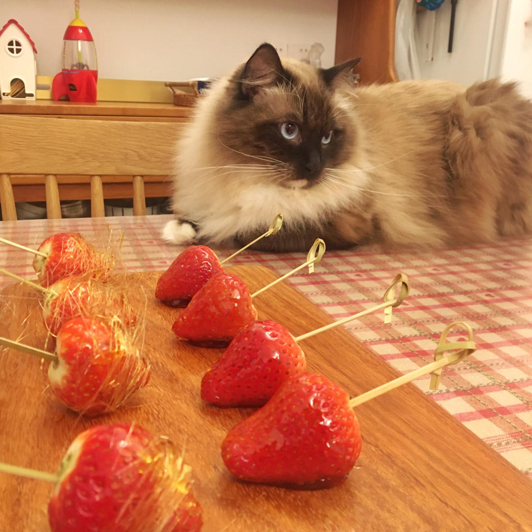 陈四狮做的冰糖葫芦,来拉丝呀