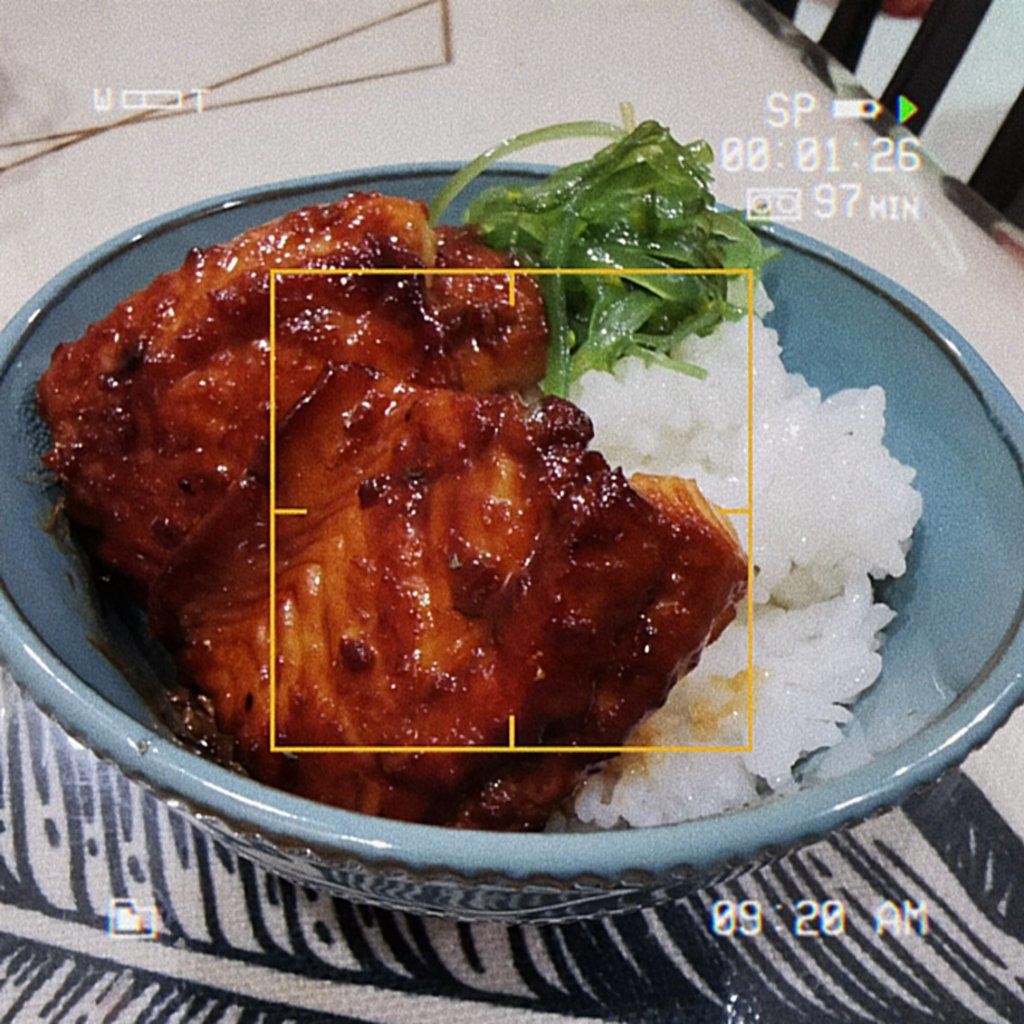 堂妈教你做超级好吃的鳗鱼饭