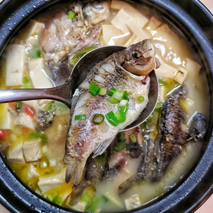 野生鲫鱼豆腐汤/砂锅炖鲫鱼