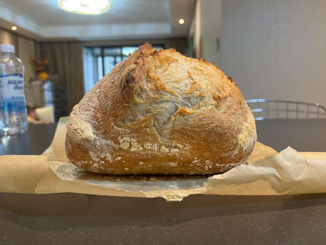 基础欧包练习-室温折叠隔夜冷藏（波兰种）