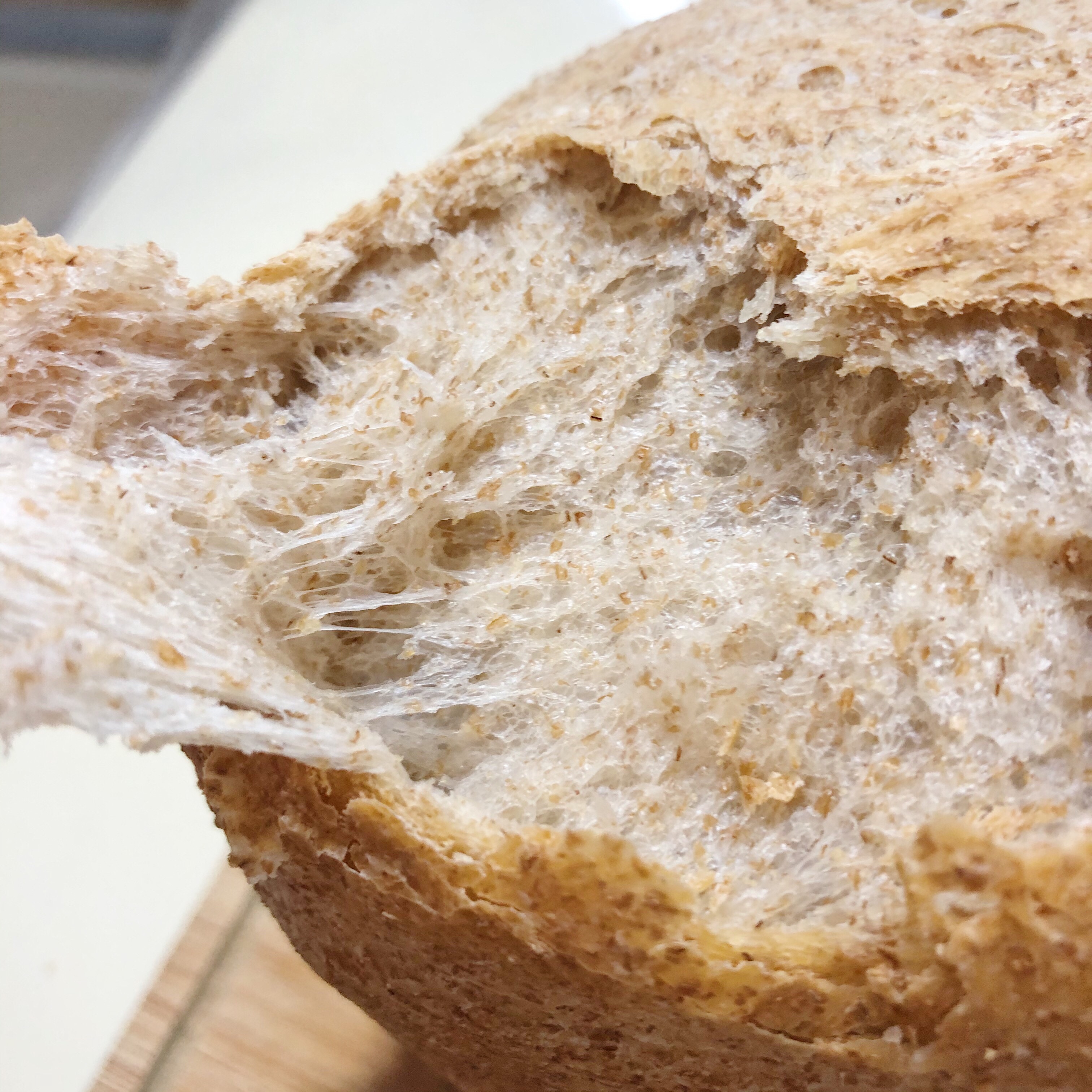 超软拉丝无糖50%全麦吐司面包（低脂.快手松下面包机版）的做法