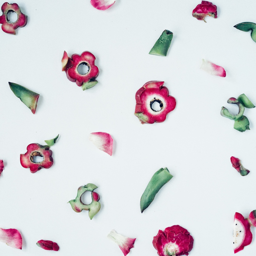 相机吃的菜哦(◍•ᴗ•◍)