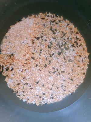 五谷杂粮米饭的做法 步骤1