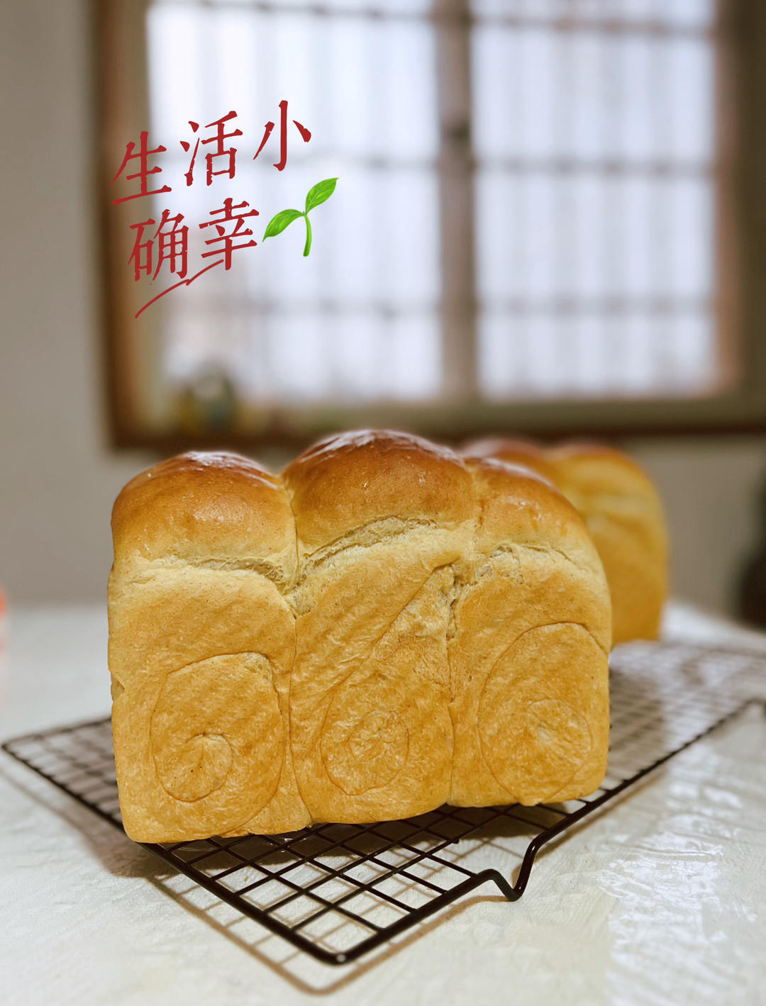 全麦吐司（70%冷藏中种法）