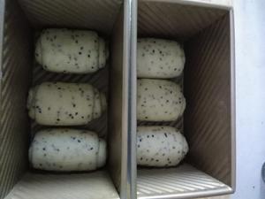 北海道100%中种一次性发酵橄榄油面包~~大名鼎鼎的妃娟  变形版的做法 步骤9