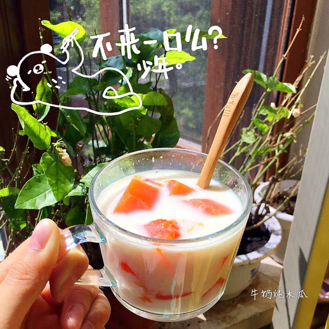 鲜奶炖木瓜