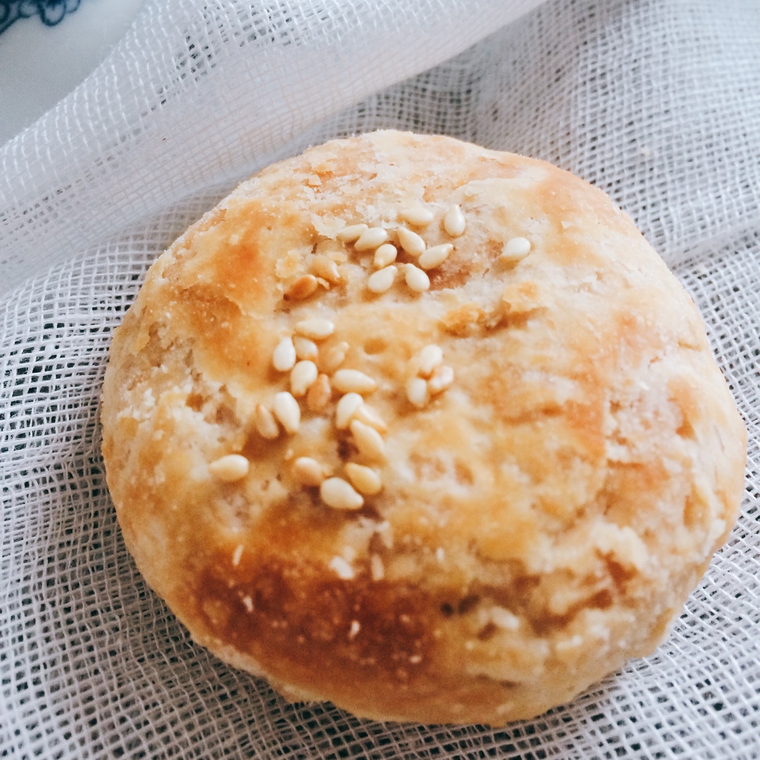 泳式鲜肉榨菜月饼