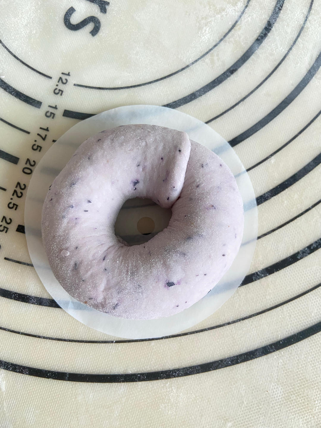 蓝莓贝果（松软型）