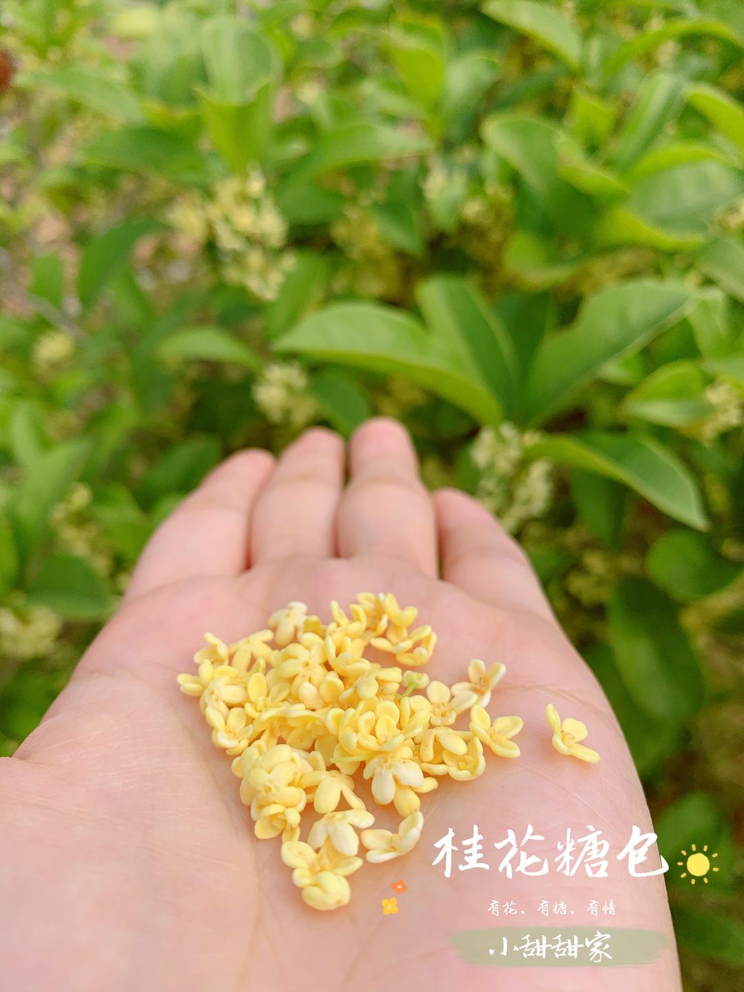 桂花糖包的做法 步骤3