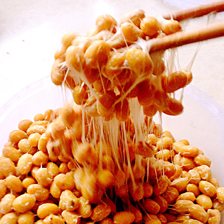 往日随风做的纳豆