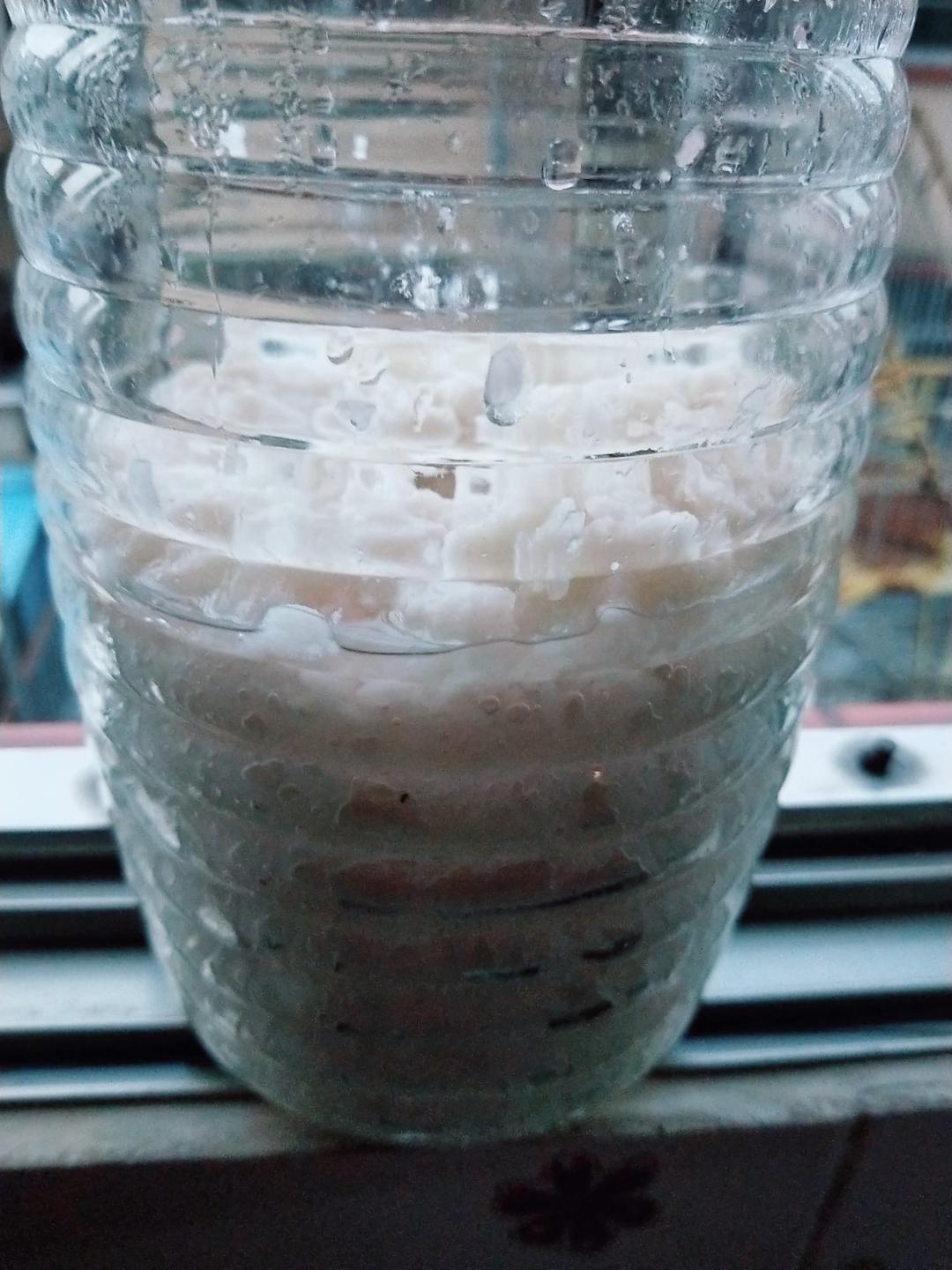 农家酒糟的制作