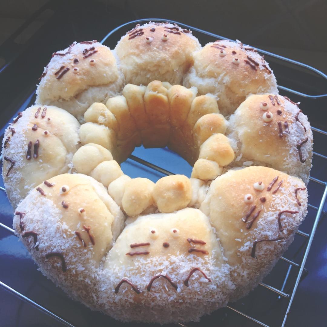 龙猫挤挤小面包