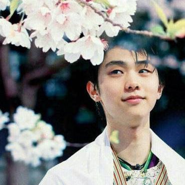 吸猫天后