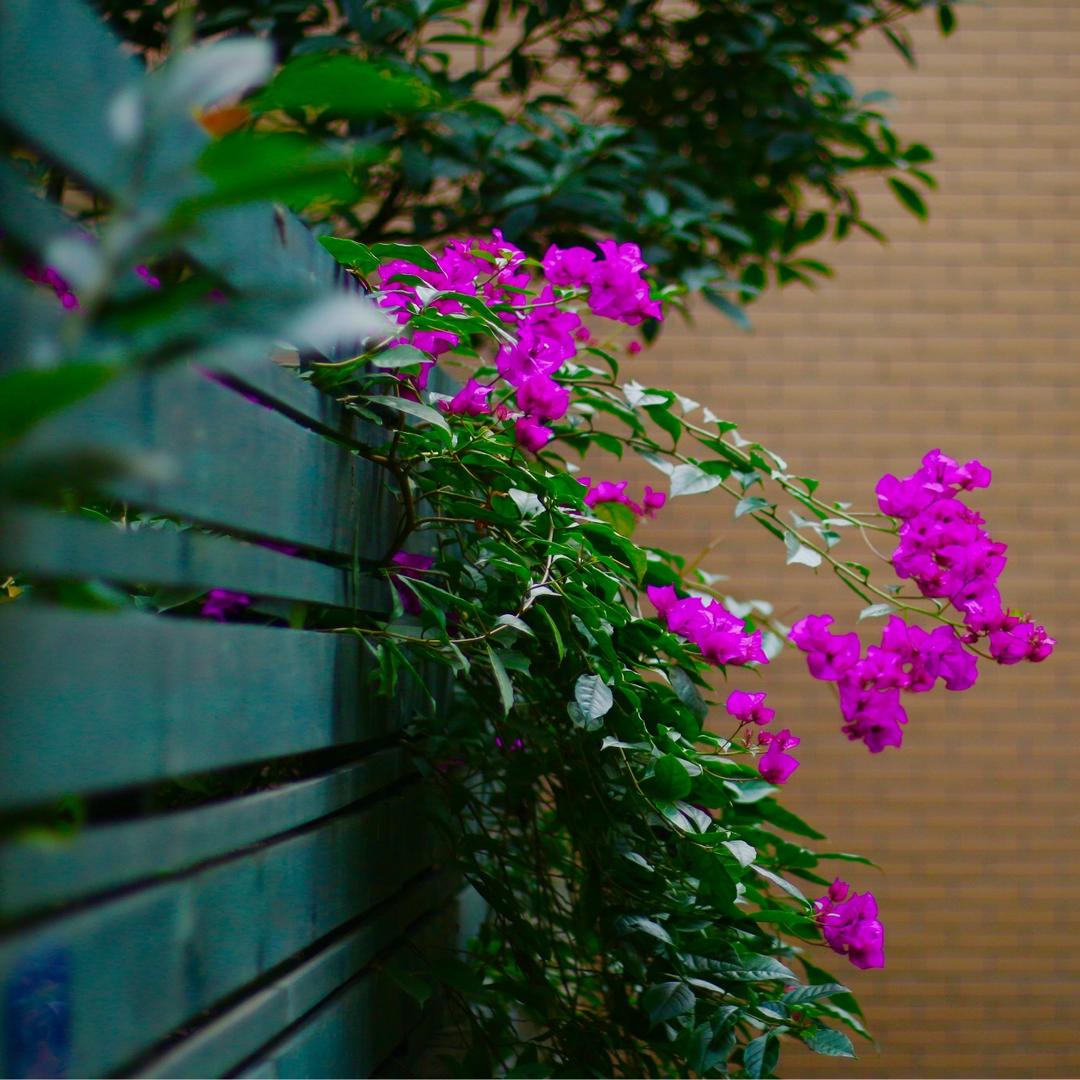 溪妈妈爱下厨房