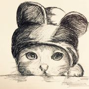 晴天不下雨也看不见星星