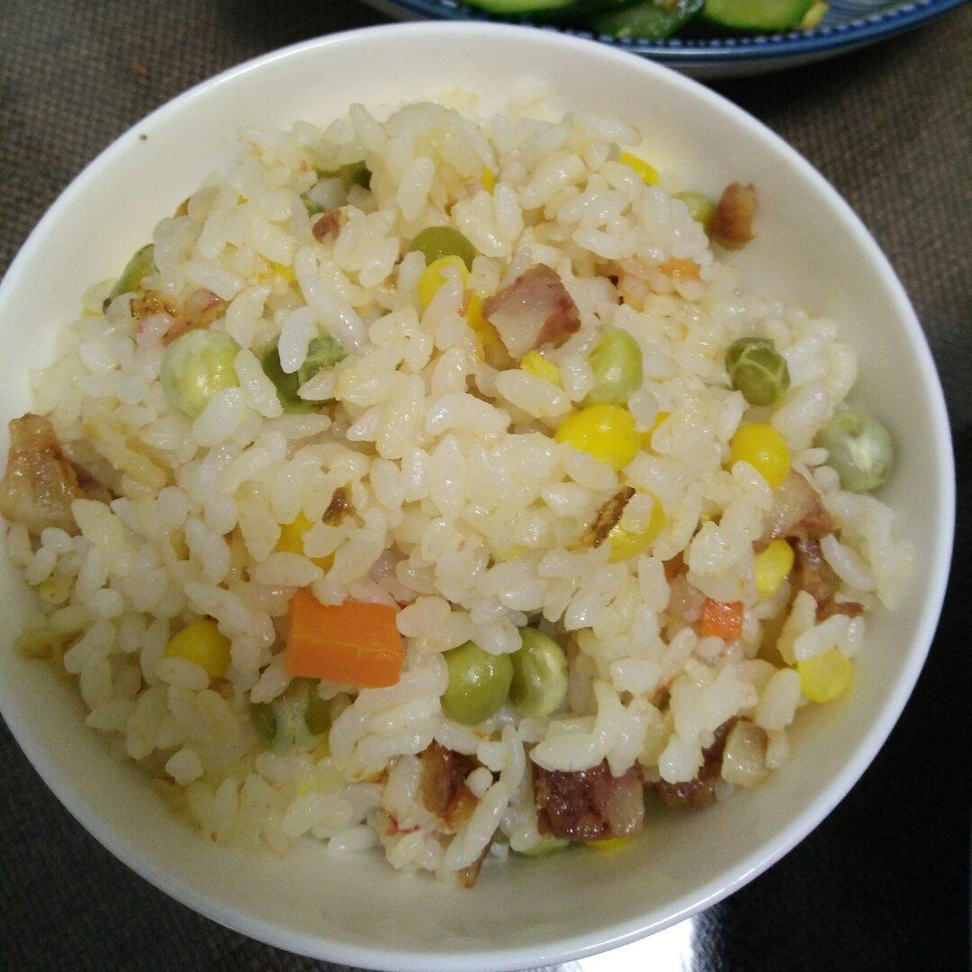 一只番茄饭