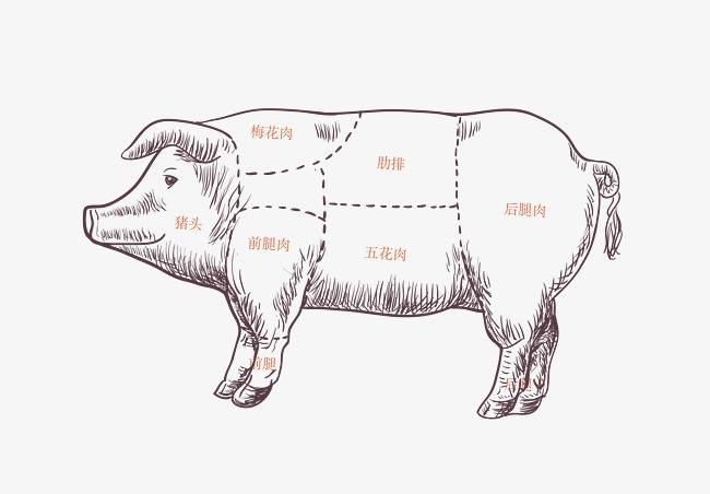 大块吃肉———猪肉的做法