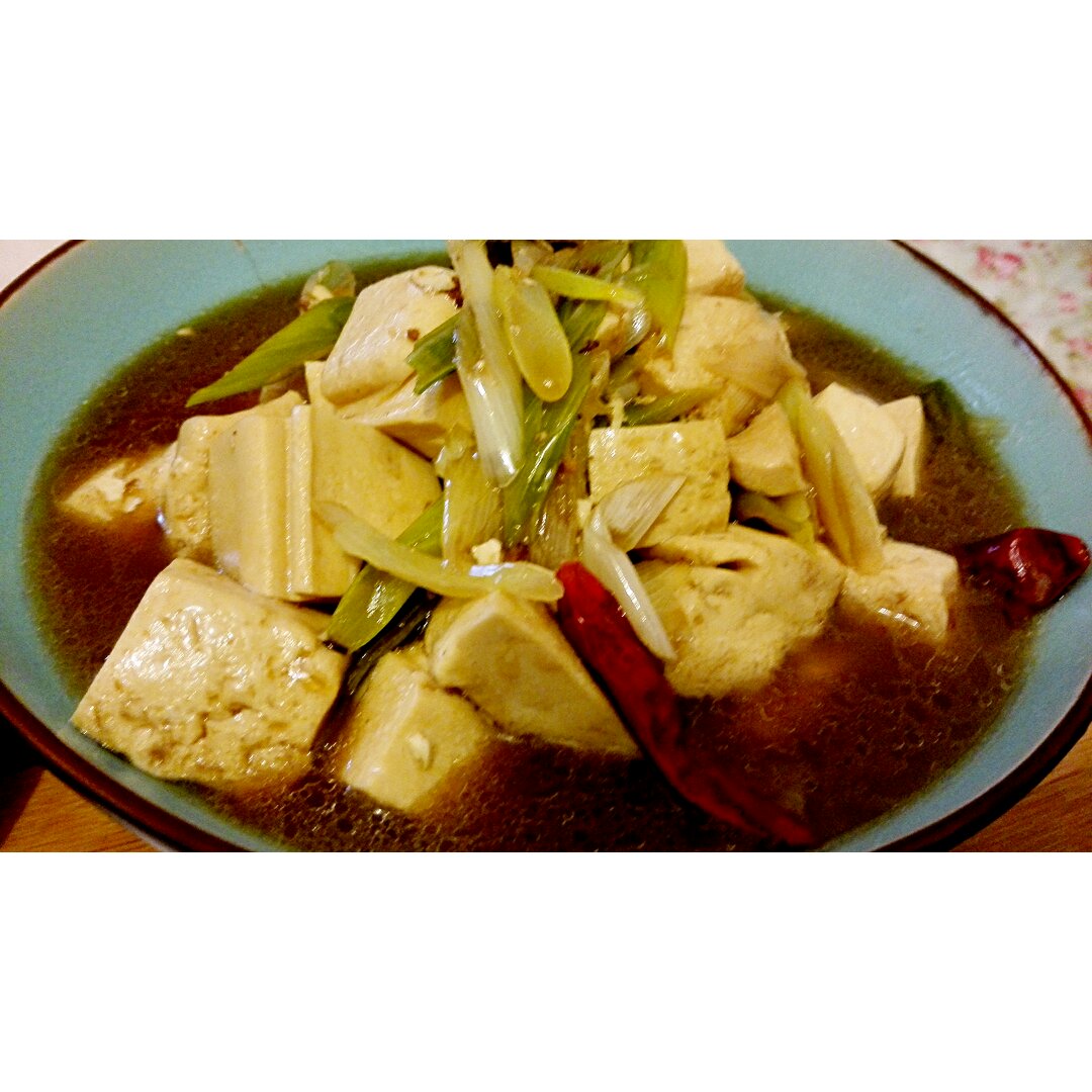 大葱烧豆腐 Spring Onion with Tofu