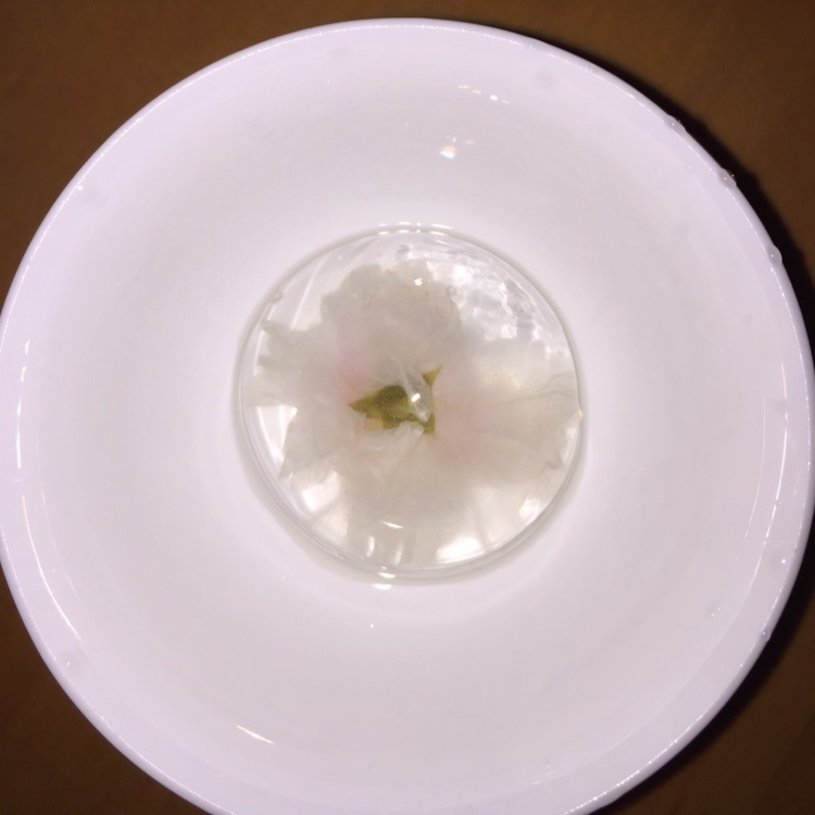 日本最温柔的梦幻和菓子 — 水信玄饼