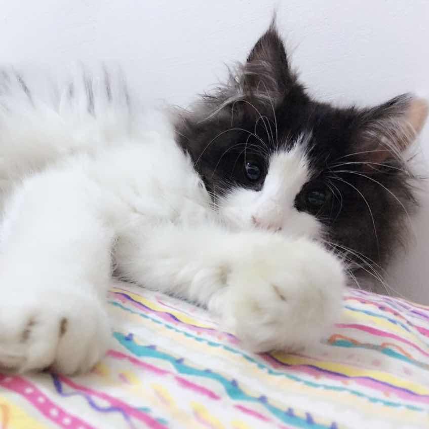 手机用户1856_u9x2