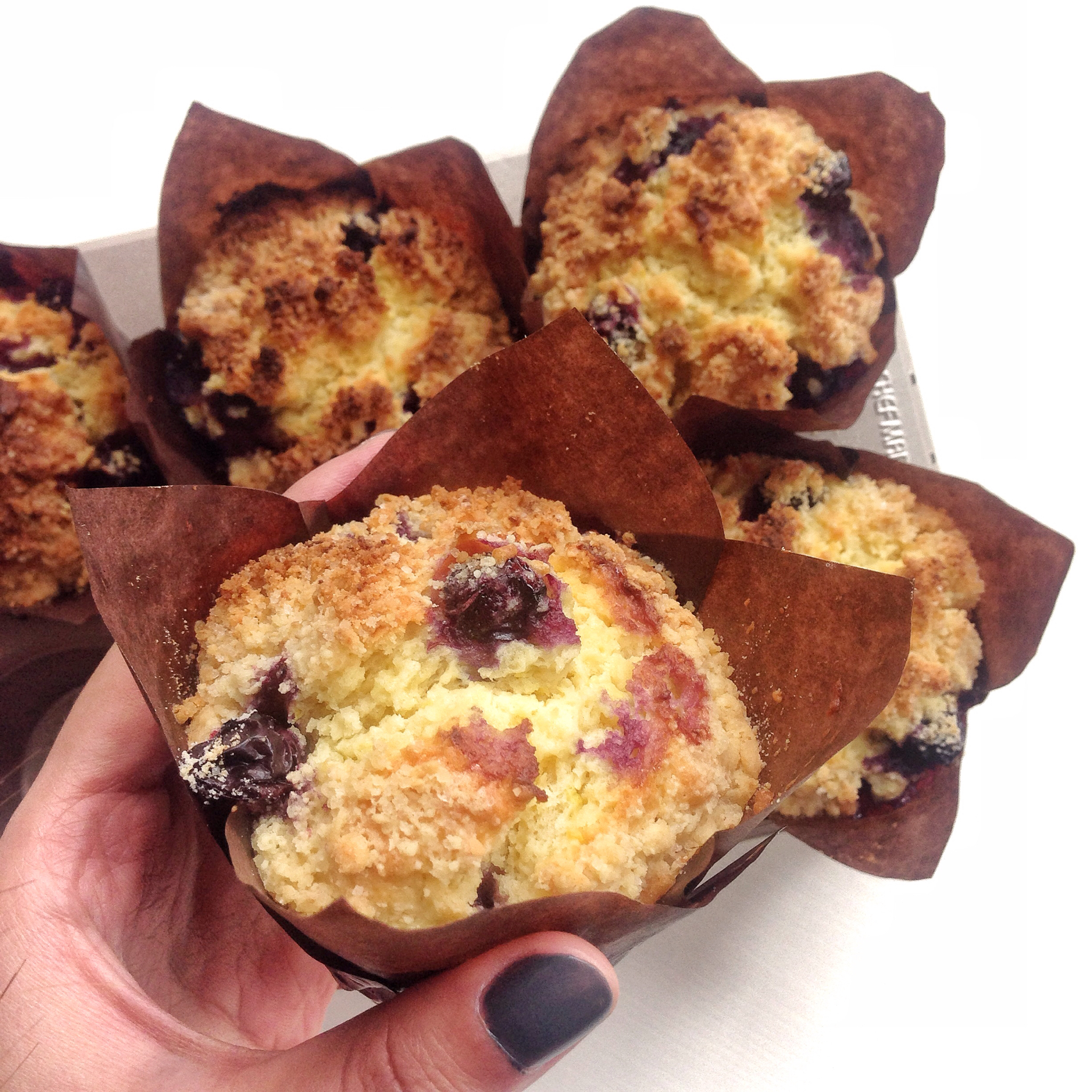 PH大师的金宝顶蓝莓马芬