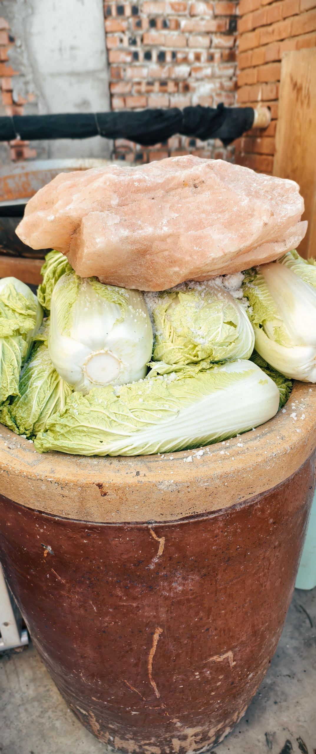 山東人在北京做腌酸菜大白菜