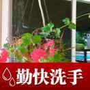 爱美食的小劳娜